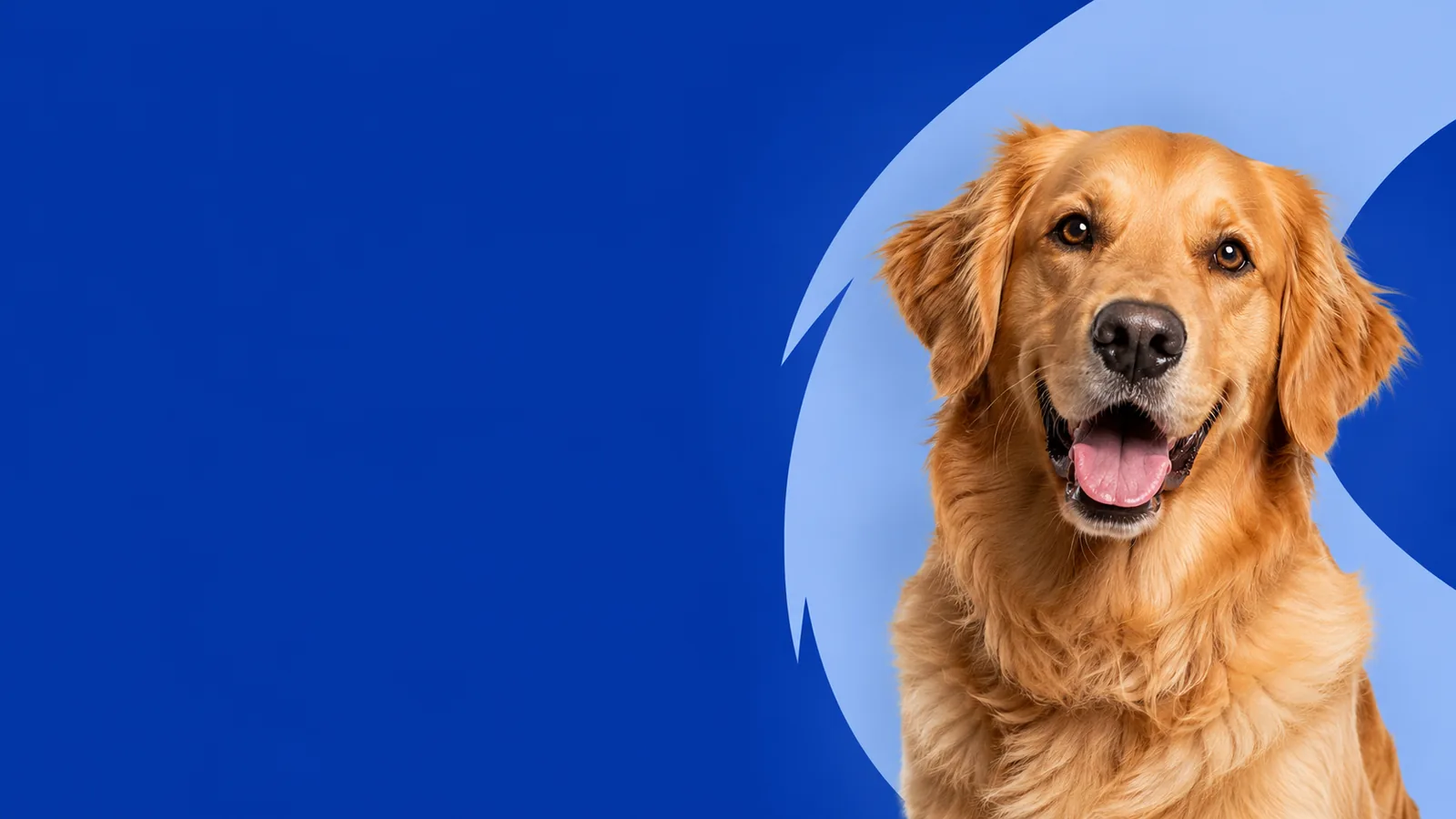 Cascade Veterinary website preview