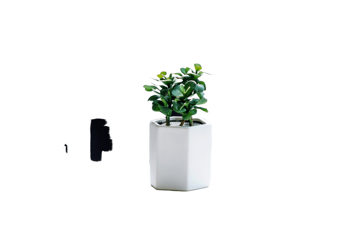 Caro vase