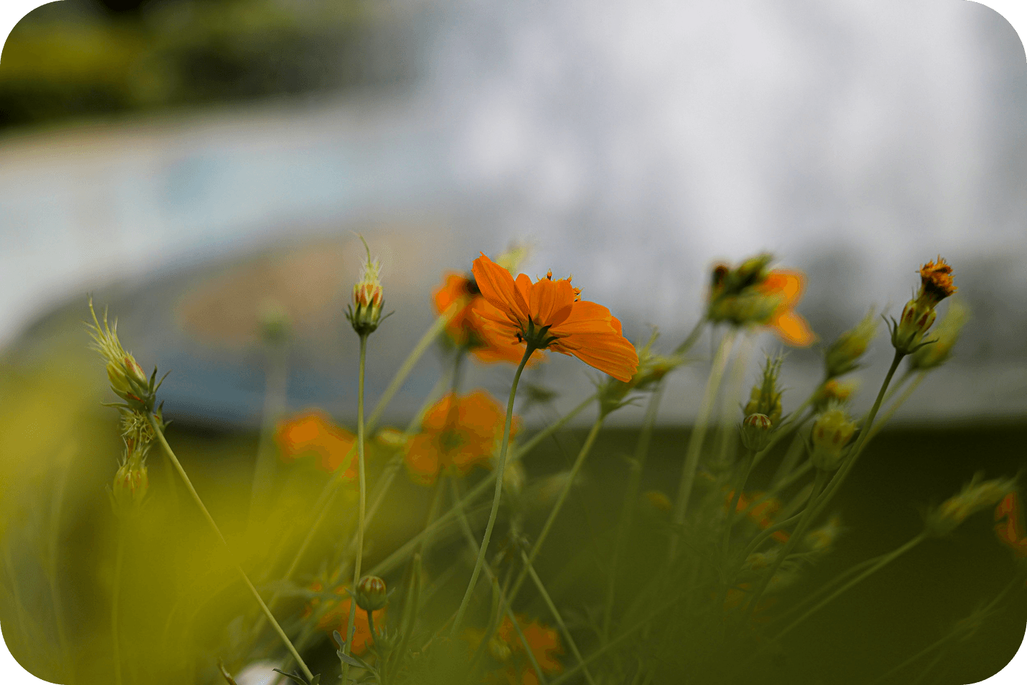 Coping Strategies for Anxiety