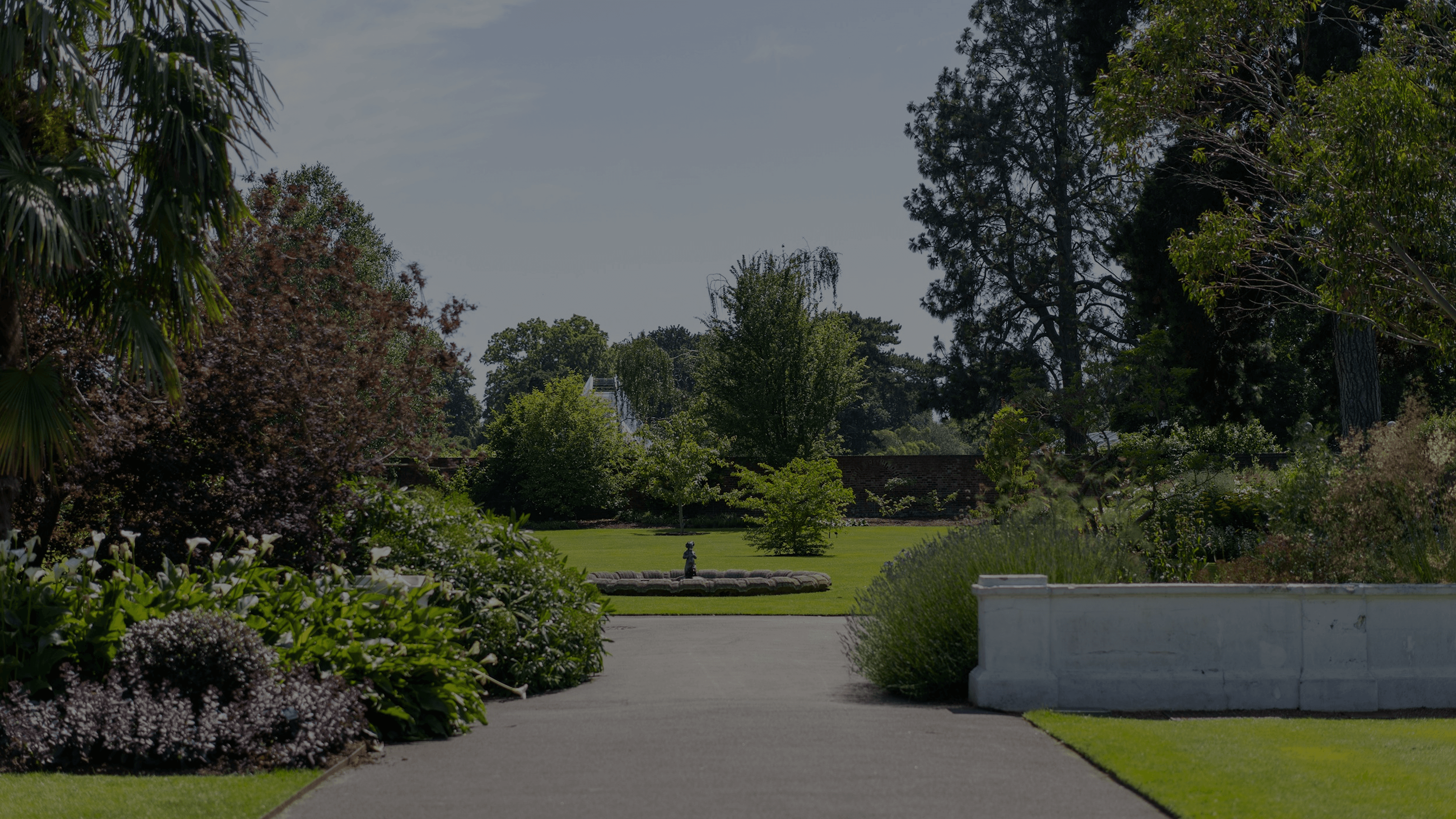 Avena therapy hero background